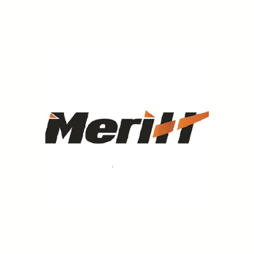 Merill — BIGDIGITS client logo