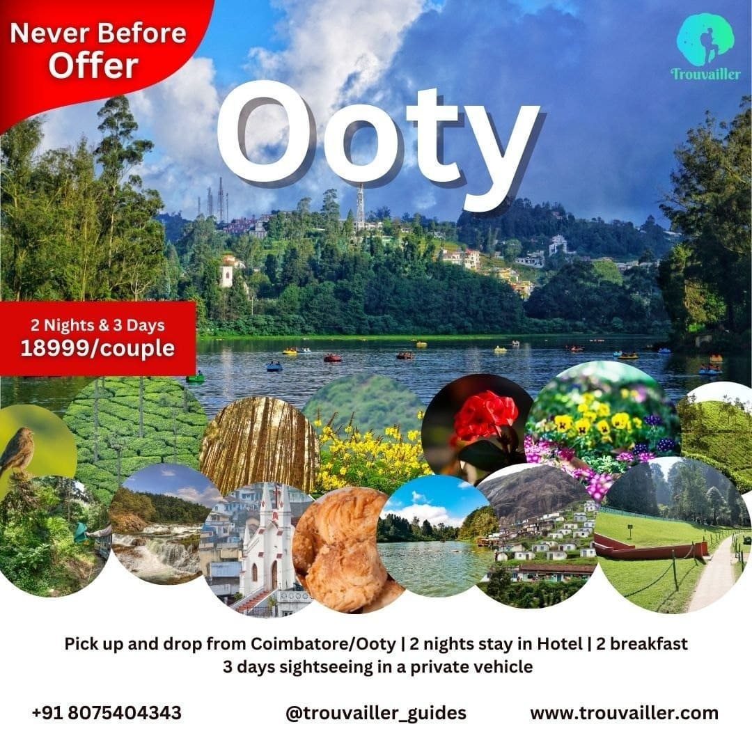 Ooty holiday package promotional creative designed by BIGDIGITS